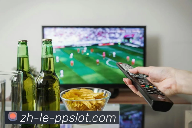 奥林匹斯之门官网平台生态图